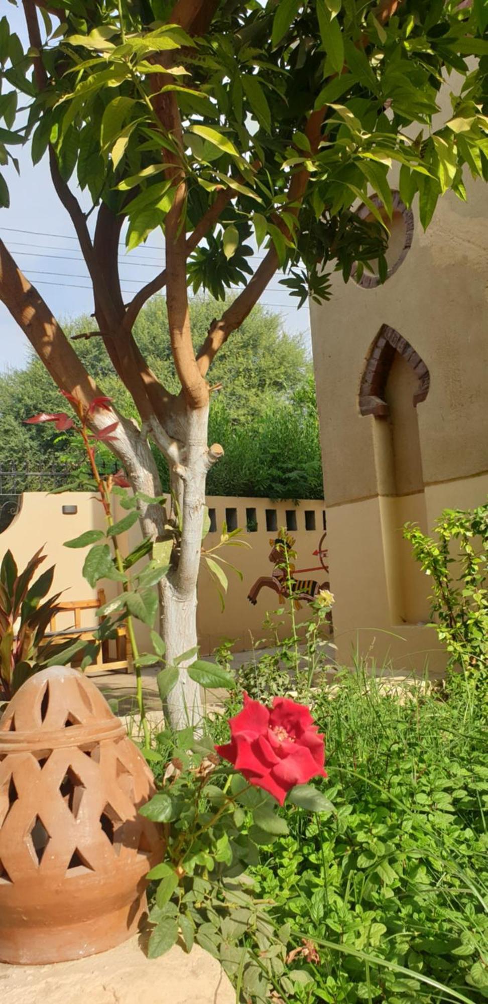 Luxor Villa Hatshepsut Ngoại thất bức ảnh